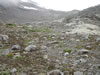 ** PLEASE DESCRIBE THIS IMAGE **