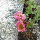 ** PLEASE DESCRIBE THIS IMAGE **