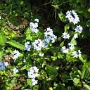 ** PLEASE DESCRIBE THIS IMAGE **