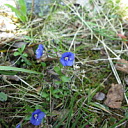 ** PLEASE DESCRIBE THIS IMAGE **