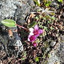 ** PLEASE DESCRIBE THIS IMAGE **