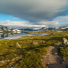 ** PLEASE DESCRIBE THIS IMAGE **