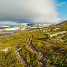 ** PLEASE DESCRIBE THIS IMAGE **