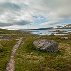 ** PLEASE DESCRIBE THIS IMAGE **