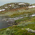 ** PLEASE DESCRIBE THIS IMAGE **