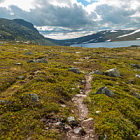 ** PLEASE DESCRIBE THIS IMAGE **