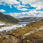 ** PLEASE DESCRIBE THIS IMAGE **