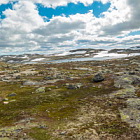 ** PLEASE DESCRIBE THIS IMAGE **