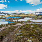 ** PLEASE DESCRIBE THIS IMAGE **