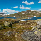 ** PLEASE DESCRIBE THIS IMAGE **