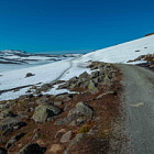 ** PLEASE DESCRIBE THIS IMAGE **