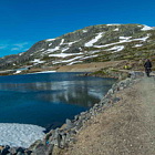 ** PLEASE DESCRIBE THIS IMAGE **