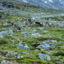 ** PLEASE DESCRIBE THIS IMAGE **