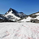 ** PLEASE DESCRIBE THIS IMAGE **