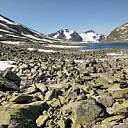 ** PLEASE DESCRIBE THIS IMAGE **