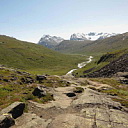 ** PLEASE DESCRIBE THIS IMAGE **