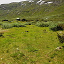 ** PLEASE DESCRIBE THIS IMAGE **