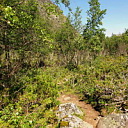 ** PLEASE DESCRIBE THIS IMAGE **