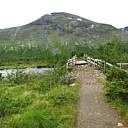 ** PLEASE DESCRIBE THIS IMAGE **