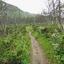 ** PLEASE DESCRIBE THIS IMAGE **