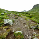 ** PLEASE DESCRIBE THIS IMAGE **