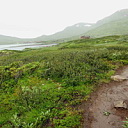 ** PLEASE DESCRIBE THIS IMAGE **