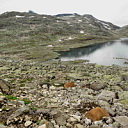 ** PLEASE DESCRIBE THIS IMAGE **