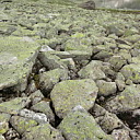 ** PLEASE DESCRIBE THIS IMAGE **