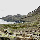 ** PLEASE DESCRIBE THIS IMAGE **