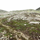 ** PLEASE DESCRIBE THIS IMAGE **