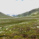 ** PLEASE DESCRIBE THIS IMAGE **