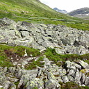 ** PLEASE DESCRIBE THIS IMAGE **