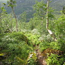 ** PLEASE DESCRIBE THIS IMAGE **