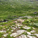 ** PLEASE DESCRIBE THIS IMAGE **