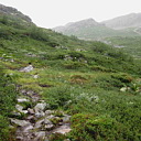 ** PLEASE DESCRIBE THIS IMAGE **