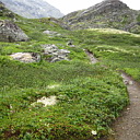 ** PLEASE DESCRIBE THIS IMAGE **