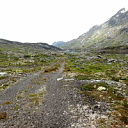 ** PLEASE DESCRIBE THIS IMAGE **