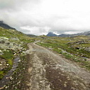 ** PLEASE DESCRIBE THIS IMAGE **