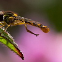 ** PLEASE DESCRIBE THIS IMAGE **