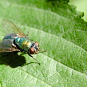 ** PLEASE DESCRIBE THIS IMAGE **