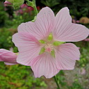 ** PLEASE DESCRIBE THIS IMAGE **