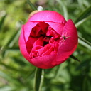 ** PLEASE DESCRIBE THIS IMAGE **