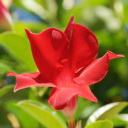 ** PLEASE DESCRIBE THIS IMAGE **