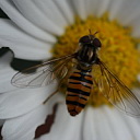 ** PLEASE DESCRIBE THIS IMAGE **