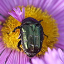 ** PLEASE DESCRIBE THIS IMAGE **