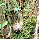 ** PLEASE DESCRIBE THIS IMAGE **