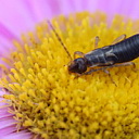 ** PLEASE DESCRIBE THIS IMAGE **