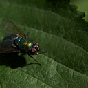 ** PLEASE DESCRIBE THIS IMAGE **