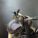 ** PLEASE DESCRIBE THIS IMAGE **