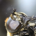 ** PLEASE DESCRIBE THIS IMAGE **